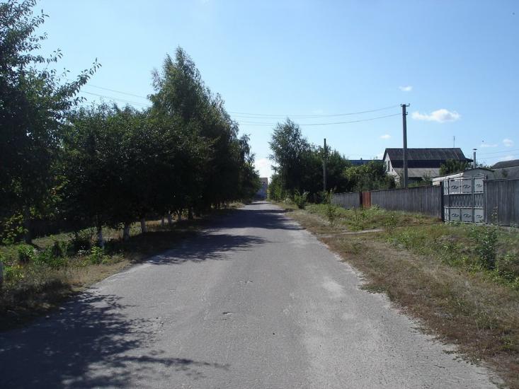 Новосілки з panoramio.com - Новосілки