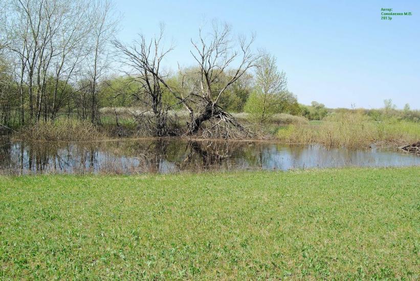 Плавні з panoramio.com - Плавни