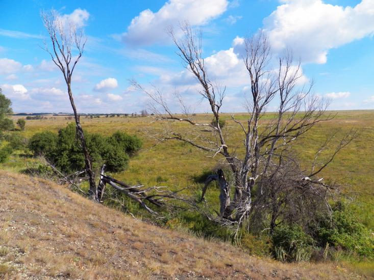 Нікішине з panoramio.com - Никишино
