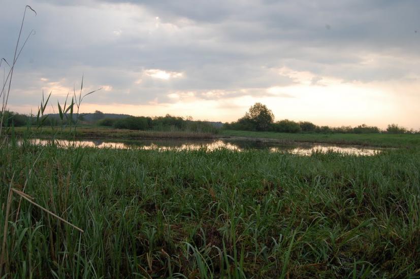 Куликовичі з panoramio.com - Kulykovychi