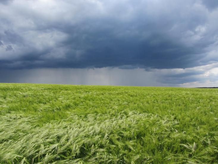 Коржова з panoramio.com - Коржова