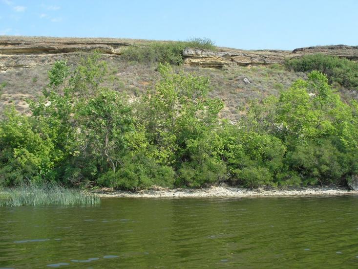 Кринки з panoramio.com - Крынки
