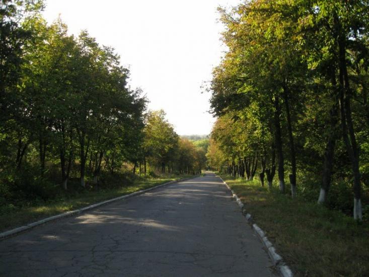 Сад з panoramio.com - Сад