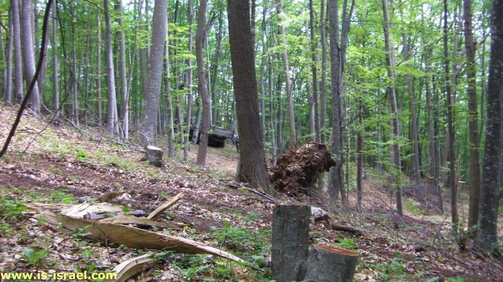 Многоріччя з panoramio.com - Многоречье