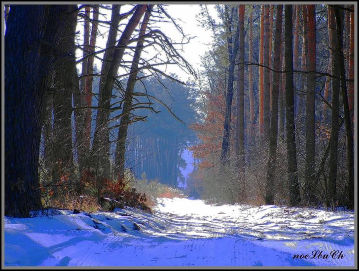 Коженики з panoramio.com - Коженики