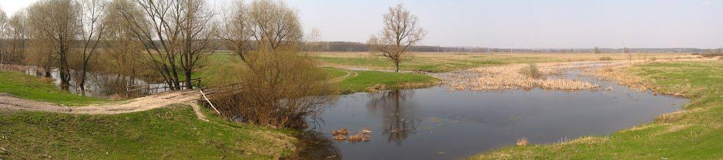Велика Чернеччина з panoramio.com - Велика Чернеччина