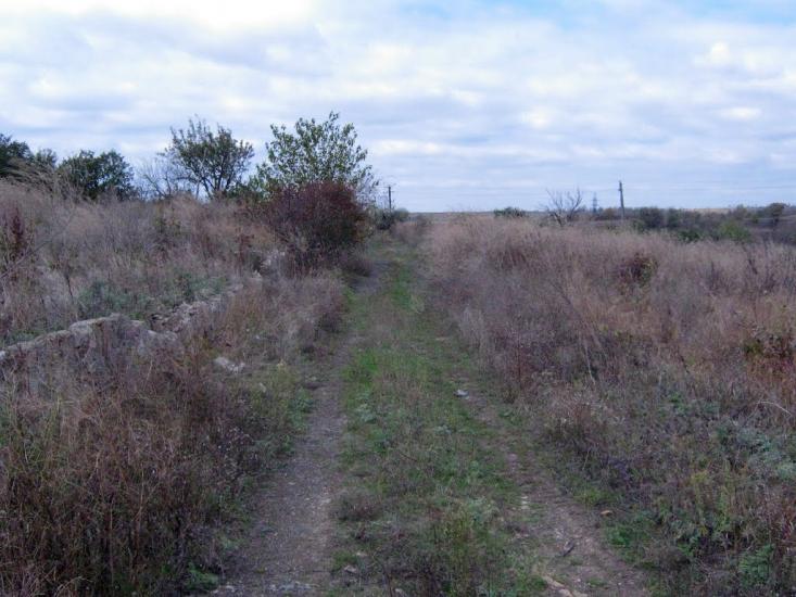 Старозаводське з panoramio.com - Старозаводское