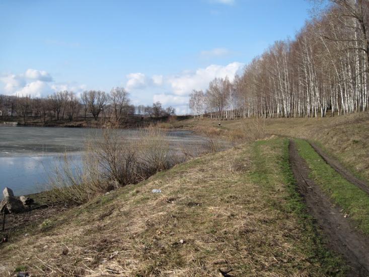Сад з panoramio.com - Сад