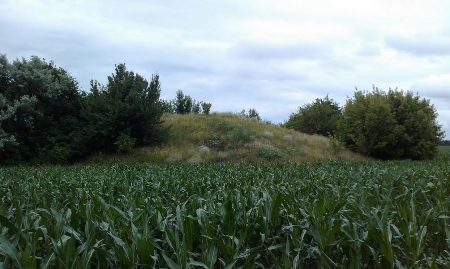 Вільховатка з panoramio.com - Вільховатка