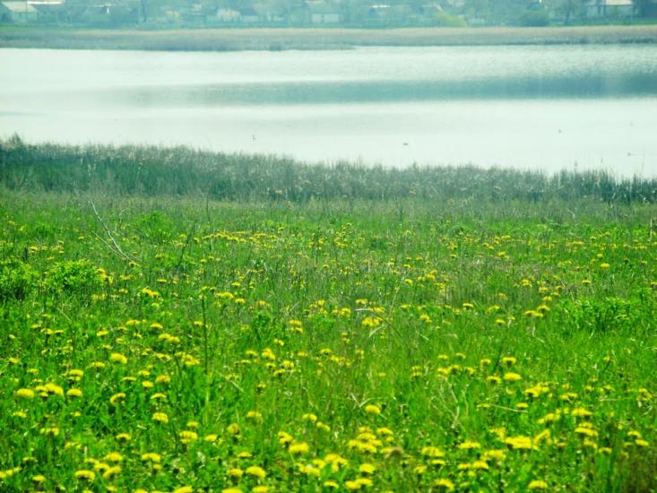 Єрчики з panoramio.com - Єрчики