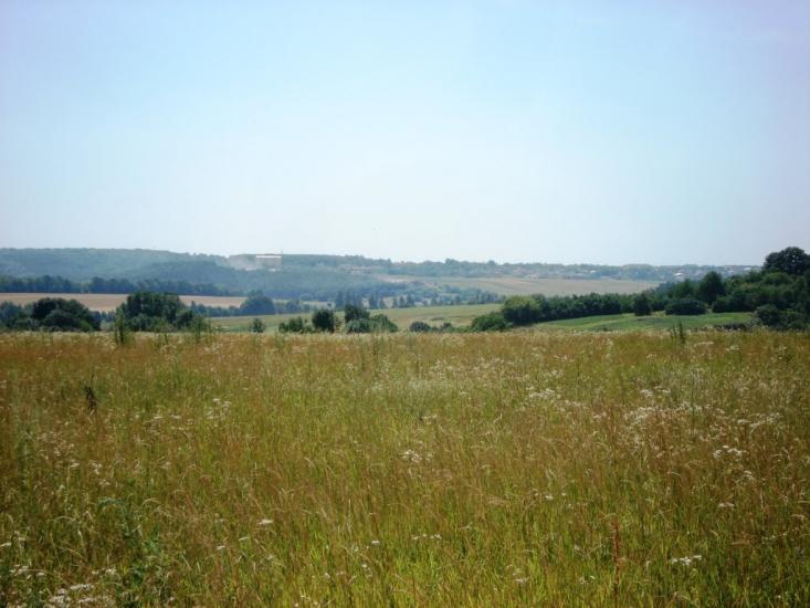 Гунька з panoramio.com - Гунька