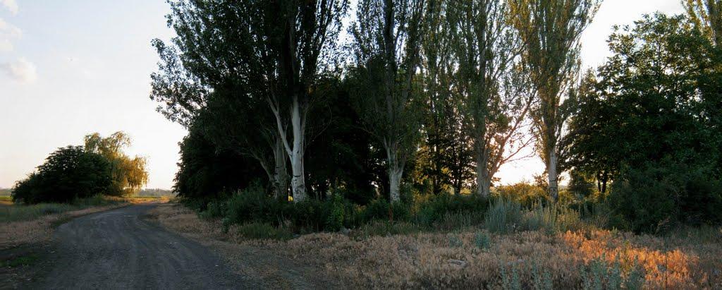 Златопіль з panoramio.com - Златопіль