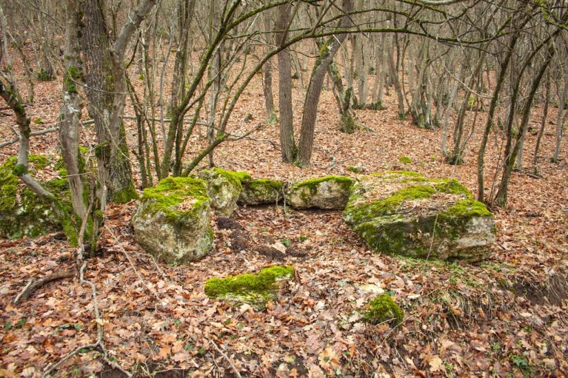 Верхньосадове з panoramio.com - Верхньосадове