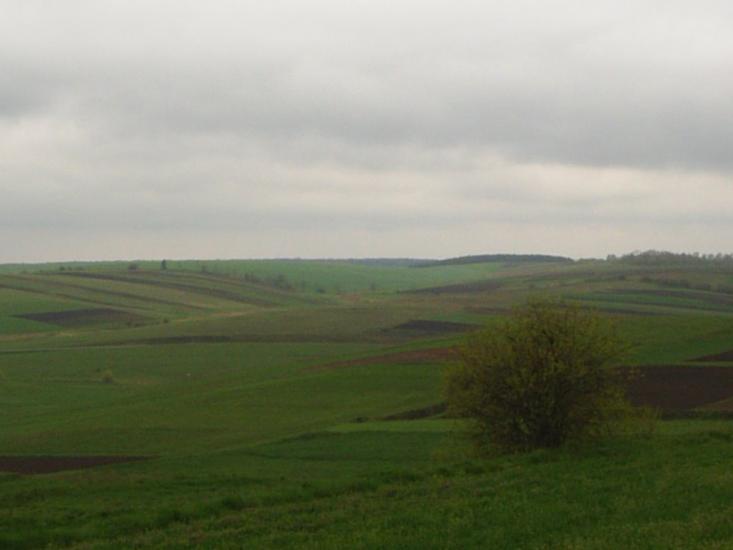 Теліжинці з panoramio.com - Тележинцы