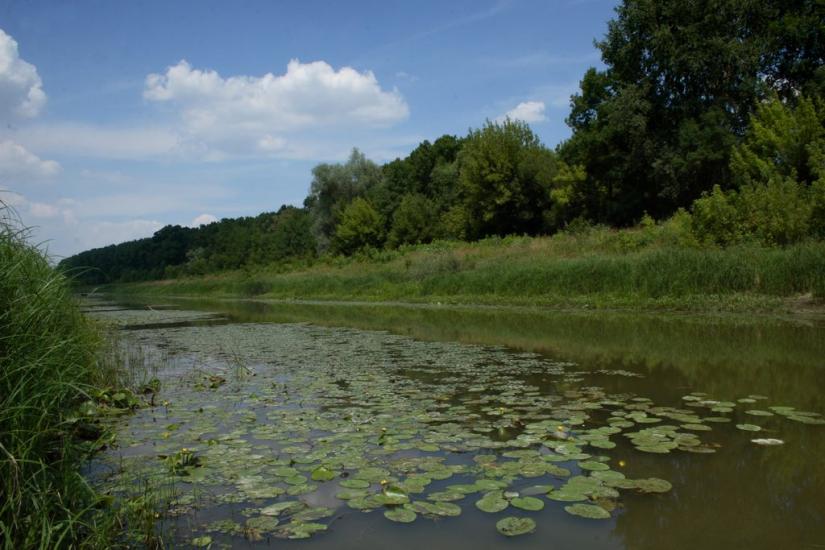 Велика Добронь з panoramio.com - Велика Добронь