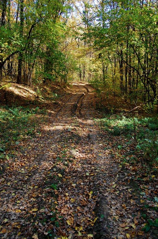 Мохнач з panoramio.com - Мохнач