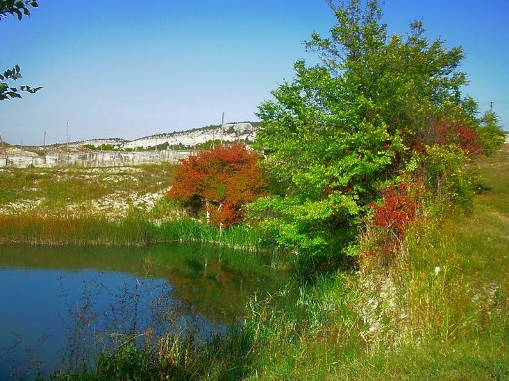 Красний Мак з panoramio.com - Красный Мак