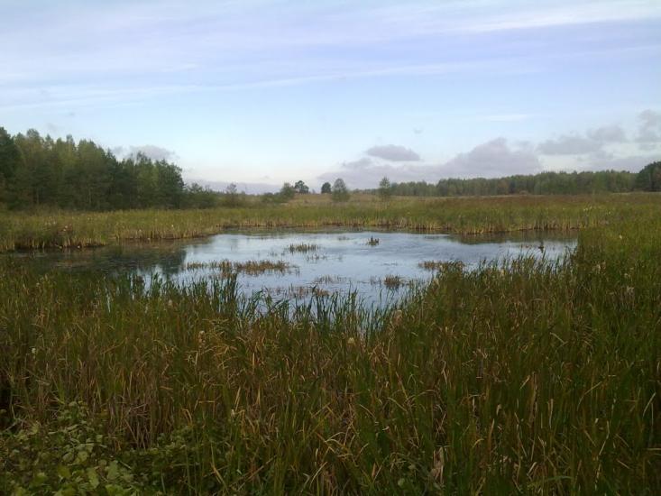 Вересівка з panoramio.com - Вересівка