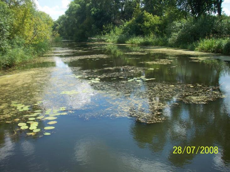 Жовтневе з panoramio.com - Квітневе