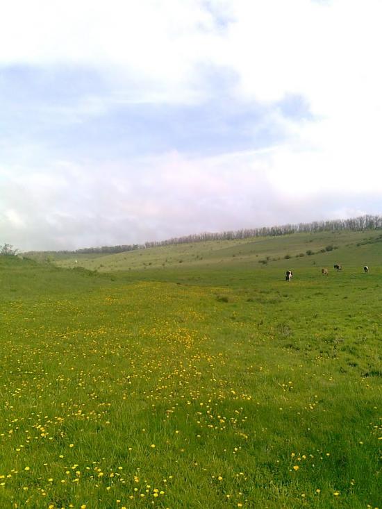Сподобівка з panoramio.com - Сподобовка