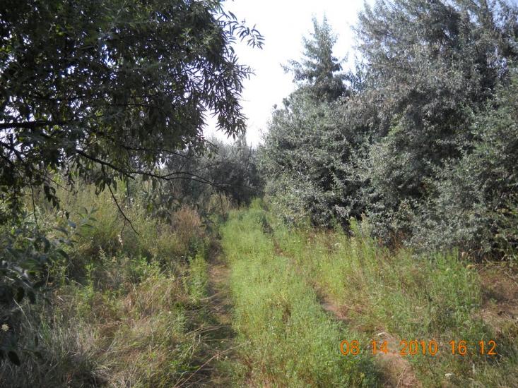 Солонці з panoramio.com - Solontsi