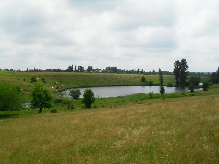 Гранів з panoramio.com - Гранов