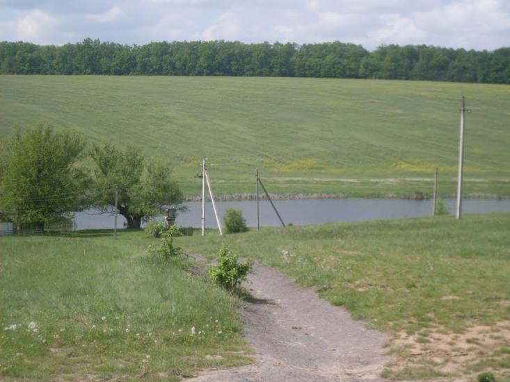 Бубнівка з panoramio.com - Бубновка