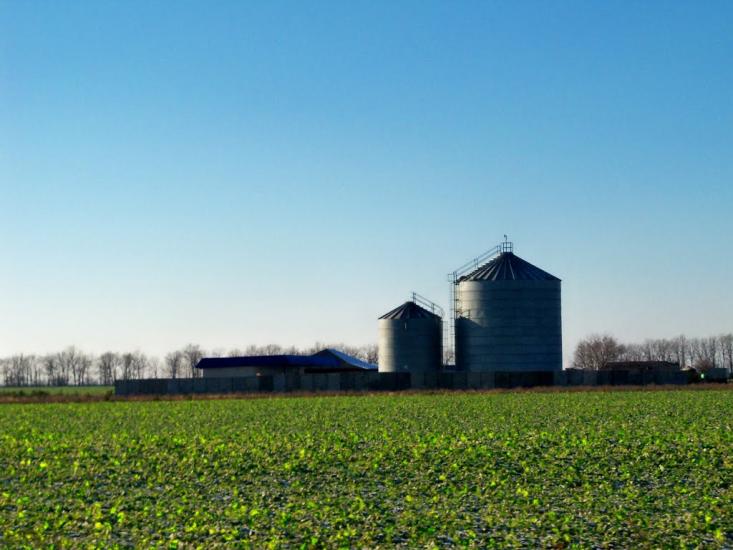 Лукашеве з panoramio.com - Lukasheve