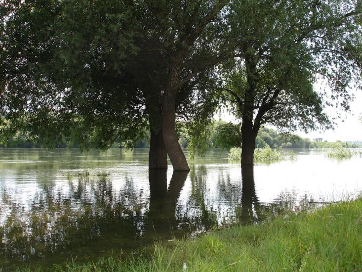 Серебрія з panoramio.com - Серебрия