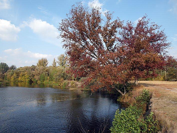 Вельбівка з panoramio.com - Вельбовка