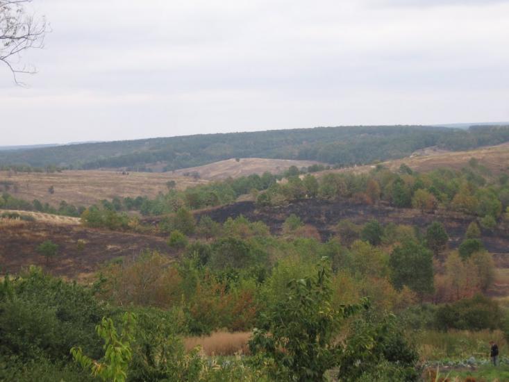 Таранівка з panoramio.com - Тарановка