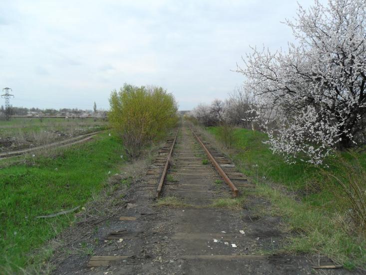 Ленінське з panoramio.com - Leninske