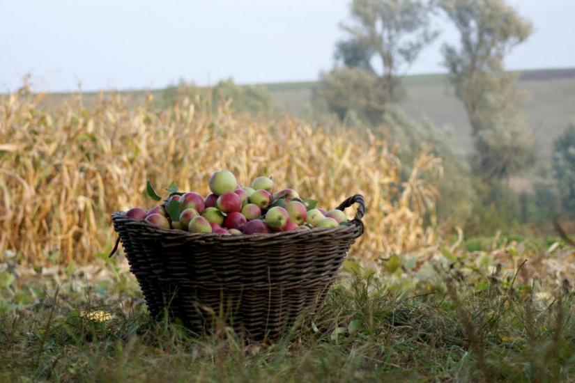 Травневе з panoramio.com - Травневе