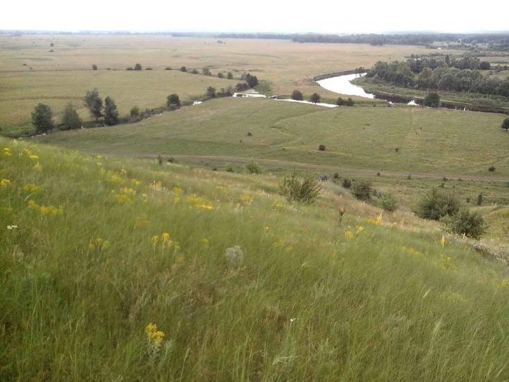 Устивиця з panoramio.com - Устивица