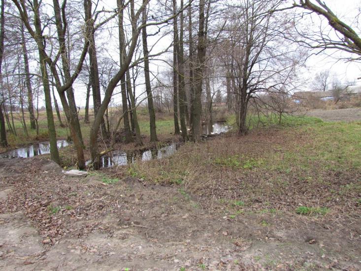 Сиваківці з panoramio.com - Сиваківці