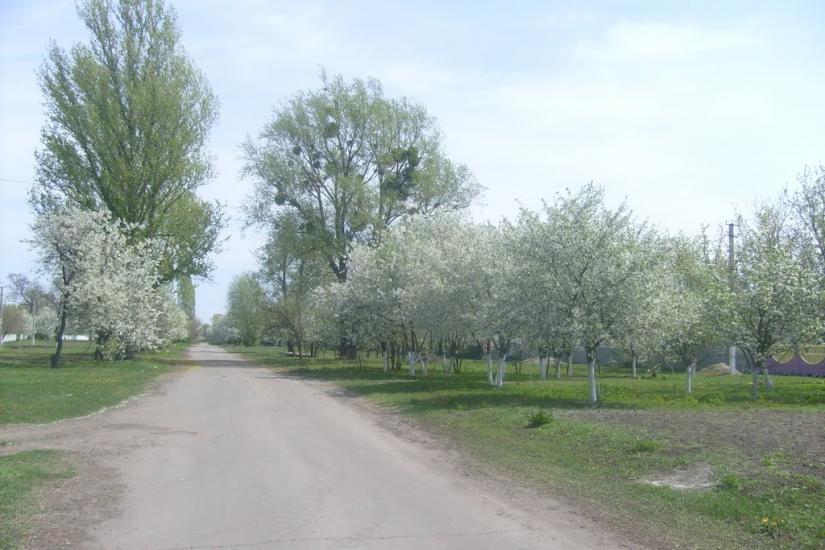 Карапиші з panoramio.com - Карапыши