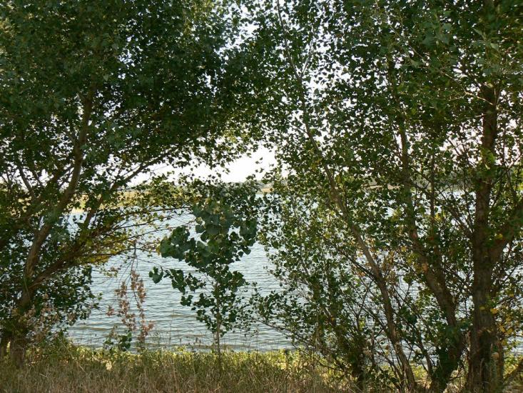 Куйбишеве з panoramio.com - Kuybisheva