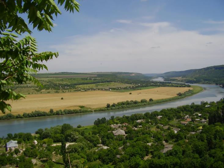 Рашків з panoramio.com - Рашків
