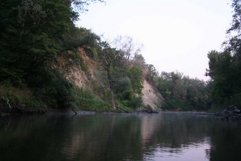 Плавні з panoramio.com - Плавни