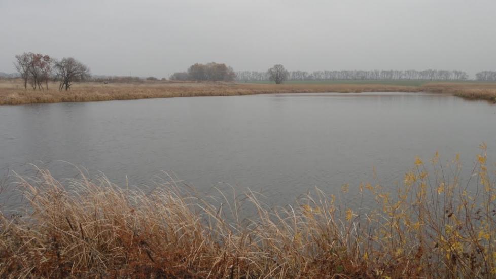 Гвоздиківка з panoramio.com - Гвоздиковка