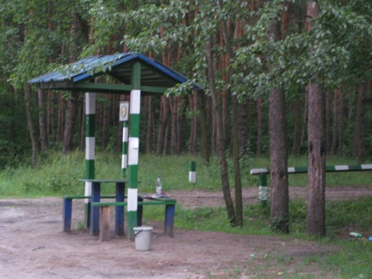 Ірдинь з panoramio.com - Ирдынь