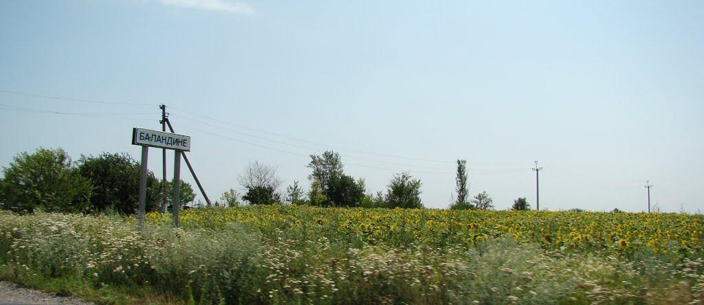 Баландине з panoramio.com - Баландино