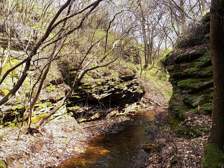 Ольховатка з panoramio.com - Ольховатка