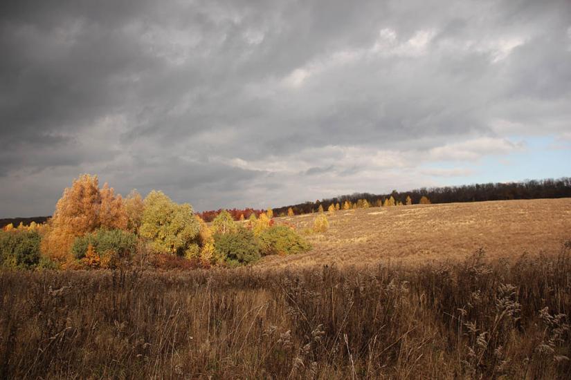 Миколаївка з panoramio.com - Миколаївка