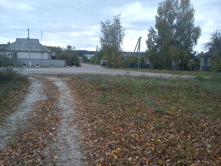 Дробишеве з panoramio.com - Дробышево