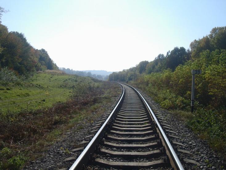Кутківці з panoramio.com - Кутковцы