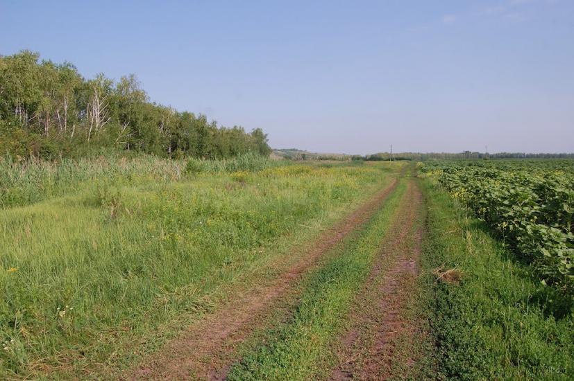 Булгаківка з panoramio.com - Булгаківка