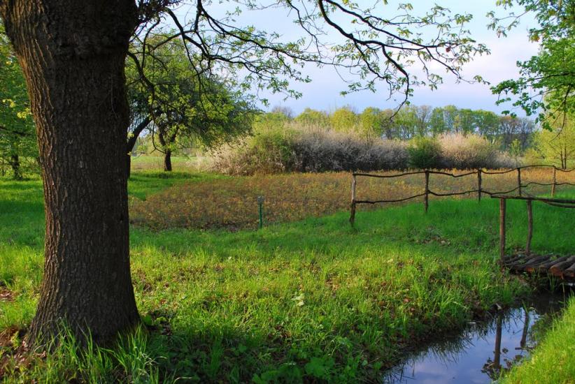 Велика Добронь з panoramio.com - Велика Добронь