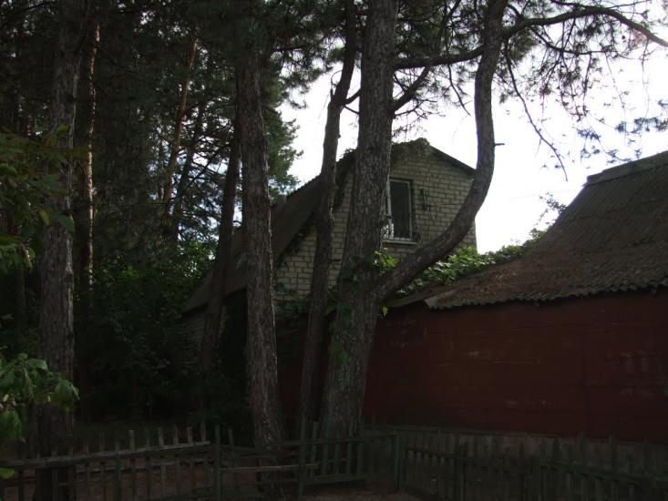 Антонівка з panoramio.com - Antonivka
