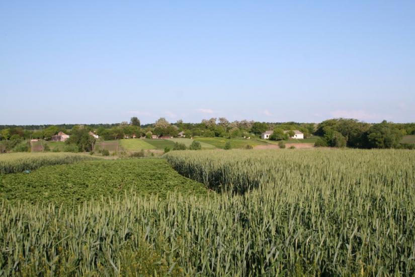 Плетений Ташлик з panoramio.com - Плетений Ташлик